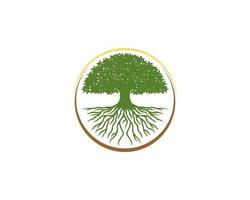 albero denso e radici all'interno del logo del cerchio vettore