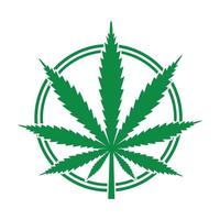 illustrazione dell'emblema della cannabis medica in un cerchio verde vettore