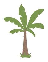 ClipArt di palma tropicale vettoriale. illustrazione del fogliame della giungla. pianta esotica piatta disegnata a mano isolata su sfondo bianco. illustrazione di vegetazione estiva infantile brillante. vettore