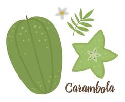 ClipArt di carambole vettoriali. illustrazione della frutta della giungla. piante esotiche piatte disegnate a mano isolate su sfondo bianco. illustrazione di cibo estivo tropicale sano infantile luminoso. vettore