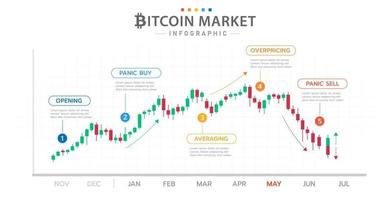 modello di infografica per le imprese. diagramma temporale bitcoin con fasi di mercato, infografica presentazione criptovaluta. vettore