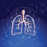 illustrazione del polmone parzialmente traslucido per visualizzare i rami polmonari presentati in forma tecnologica utilizzando linee e forme triangolari. vettore