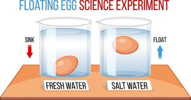 esperimento scientifico con uova di prova per la freschezza vettore