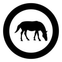 Steed cavallo equestre equino stallone purosangue mustang silhouette in cerchio rotondo colore nero illustrazione vettoriale solido contorno stile immagine
