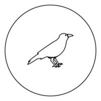icona nera del corvo nel profilo del cerchio vettore