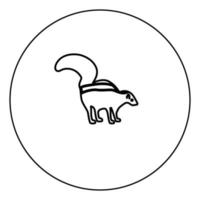 Skunk icona nera contorno nell'immagine del cerchio vettore