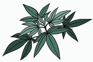 semplicità pianta di cannabis disegno a mano libera design piatto. vettore