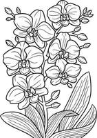 Pagina da colorare di fiori di orchidea per adulti vettore