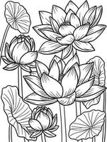 Pagina da colorare di fiori di loto per adulti vettore