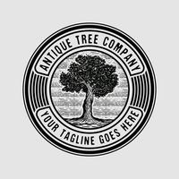 logo distintivo dell'albero di quercia vecchia vintage vettore