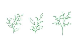 vettore di fiori ed erbe isolato disegnato a mano