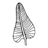 congedo di palma tropicale in stile schizzo, illustrazione vettoriale isolata. congedo di palma in stile doodle lineare. stampa botanica minimalista di congedo esotico, disegno di schizzo.