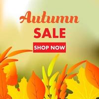 autunno vendita giallo caduta foglie sfondo. vettore di banner elemento natura fogliame colorato. spazio di decorazione astratta di vendita al dettaglio di affari. poster a colori modello vuoto design. offerta di settembre sconto rosso