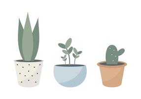 piante da casa in vaso. illustrazione vettoriale. vettore