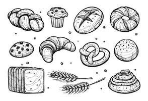 vari tipi di pane. illustrazione vettoriale disegnata a mano di prodotti di pasticceria da forno