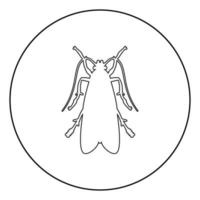 vestiti moth abbigliamento moth fly insetto parassita icona in cerchio contorno rotondo colore nero illustrazione vettoriale immagine in stile piatto