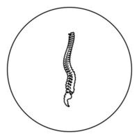 colonna vertebrale spinale colonna vertebrale icona della spina dorsale in cerchio nero colore nero illustrazione vettoriale immagine contorno linea di contorno stile sottile