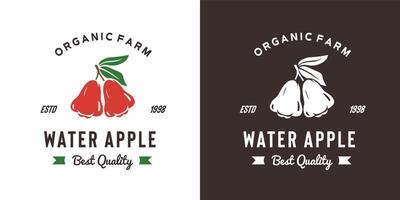 illustrazione vintage del logo della frutta della mela dell'acqua adatta per il negozio di frutta e la fattoria di frutta vettore