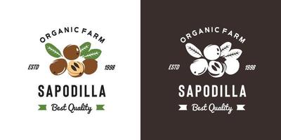 illustrazione vintage del logo della frutta della sapodilla adatta per il negozio di frutta e la fattoria di frutta vettore