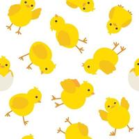 modello carino pollo giallo bambino per il design di pasqua, sfondo senza soluzione di continuità. pulcino cartone animato giallo. Illustrazione vettoriale su sfondo bianco