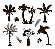 sagome di palme tropicali di vettore. illustrazione nera del fogliame della giungla. piante esotiche nere disegnate a mano isolate su priorità bassa bianca. disegno del francobollo degli alberi estivi vettore