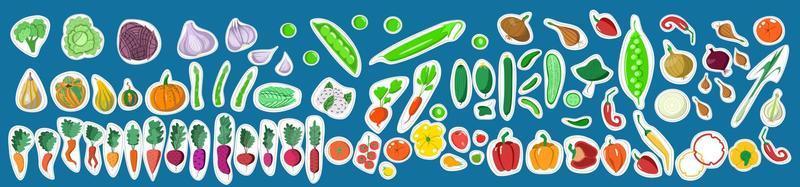 adesivi con un set di verdure. illustrazione vettoriale in uno stile cartone animato piatto su sfondo blu.