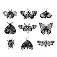 set di farfalle e falene magiche moderne in bianco e nero vettore