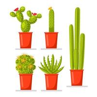 set di piante in vaso di cactus con fiori. pianta d'appartamento messicana per hobby vettore