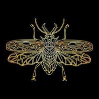 uno scarabeo dorato in uno stile lineare. illustrazione vettoriale lineare