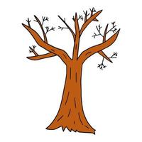 albero di inverno nudo del fumetto in stile doodle isolato su priorità bassa bianca. pianta autunnale. vettore