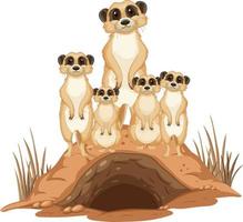 gruppo di suricati con tana in stile cartone animato vettore