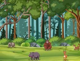 scena della foresta con animali selvatici vettore