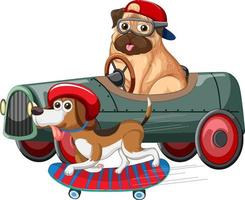 divertente personaggio dei cartoni animati del cane che guida un'auto su sfondo bianco vettore
