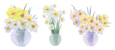 set di mazzi fioriti di fiori di narciso gialli e bianchi in un'illustrazione vettoriale vaso