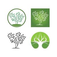 vettore di logo di ecologia dell'albero