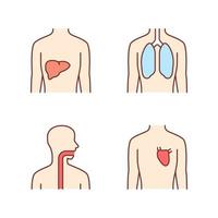set di icone di colore di organi umani sani. fegato e polmoni in buona salute. cuore funzionante. gola sana. parti interne del corpo in buone condizioni. illustrazioni vettoriali isolate