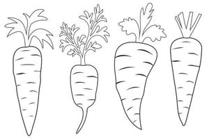 set di carote line art con foglie vettoriali