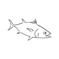schizzo vettoriale di tonno