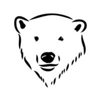 schizzo vettoriale di orso polare