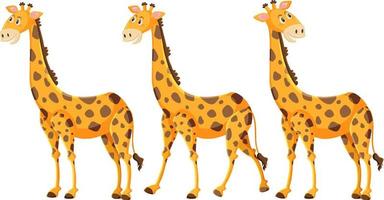 simpatico cartone animato giraffa su sfondo bianco vettore