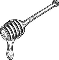 cucchiaio di miele con illustrazione vettoriale disegnata a mano di miele