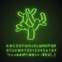 orsacchiotto cholla cactus icona della luce al neon. cilindropuntia. cactus a snodo cilindrico. pianta tropicale originaria dell'america. segno luminoso con alfabeto, numeri e simboli. illustrazione vettoriale isolato