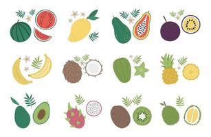 ClipArt vettoriali di frutta e bacche tropicali. illustrazione del fogliame della giungla. piante esotiche piatte disegnate a mano isolate su sfondo bianco. illustrazione di cibo estivo sano brillante.