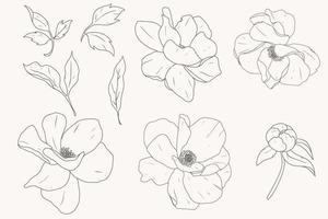 doodle line art collezione di elementi di fiori di peonia vettore