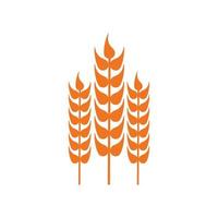 modello di progettazione del logo dell'icona di grano e riso vettore