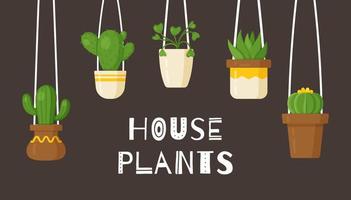 illustrazione vettoriale di vasi appesi. piante da appartamento in vasi sospesi.