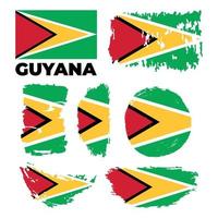 bandiera della Guyana. illustrazione vettoriale su sfondo bianco