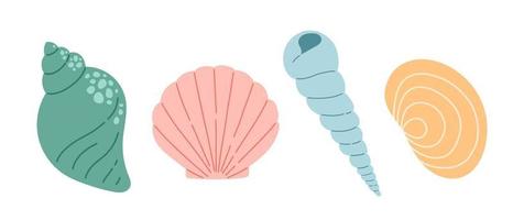 illustrazione vettoriale di conchiglie e coralli, colore semplice, design piatto