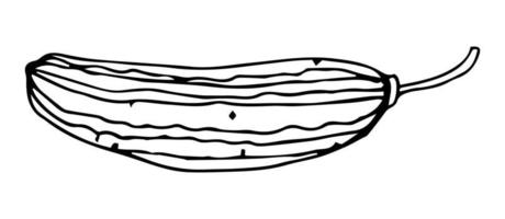 illustrazione vettoriale nera di contorno di cetriolo fresco