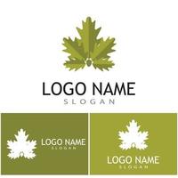 apertura dell'obiettivo a foglia e otturatore per l'ispirazione del design del logo del fotografo naturalista vettore